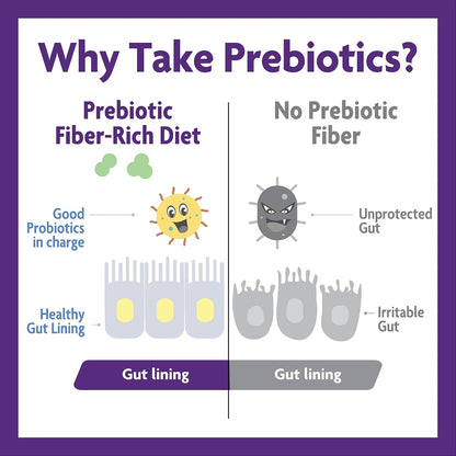 InnovixLabs Probiotic & Prebiotic Bundle Multi-Strain Probiotic (60 Time-Release Capsules) Prebiotic Fiber Powder (30-Day Supply). Boost Probiotic Growth for Gut and Immune Health.*