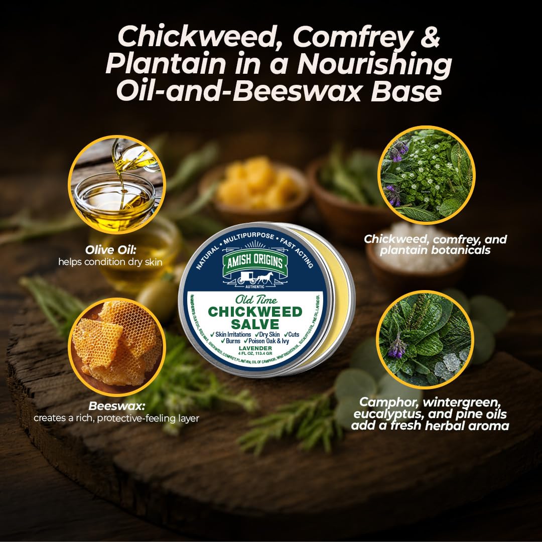 Amish Origins Old Time Chickweed Salve 2 oz- The Ultimate Poison Ivy/Poison Oak Blocker, Healing Salve for Skin Disorder, Irritations, Burns, Minor Cuts