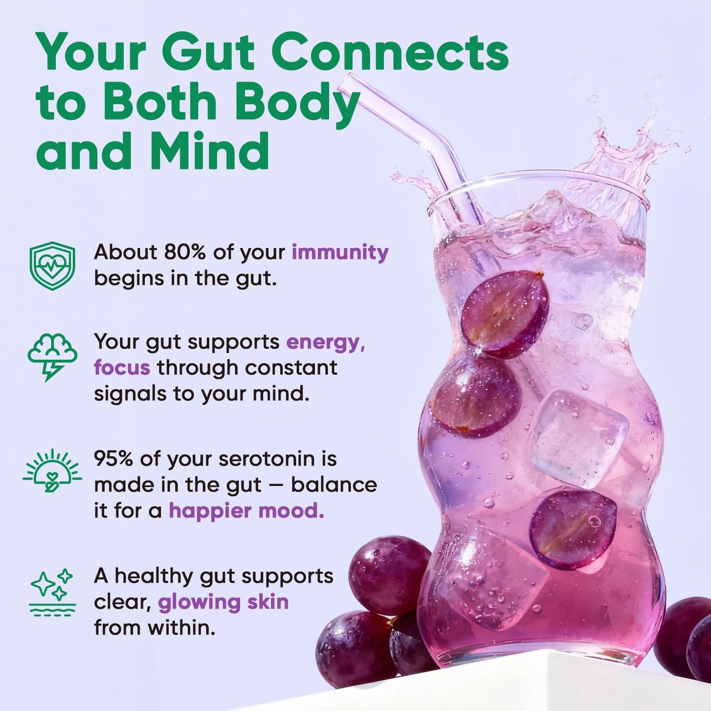 Venture Pal Sugar Free Hydration Packets + Gut Health Electrolytes Powder | Liquid Daily IV with 7 Electrolytes, 5 Vitamins, Probiotics & Fiber for Dehydration Relief and Gut Health Support