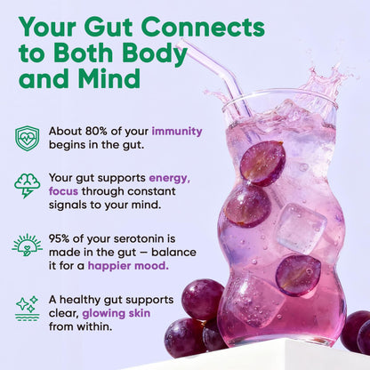 Venture Pal Sugar Free Hydration Packets + Gut Health Electrolytes Powder | Liquid Daily IV with 7 Electrolytes, 5 Vitamins, Probiotics & Fiber for Dehydration Relief and Gut Health Support