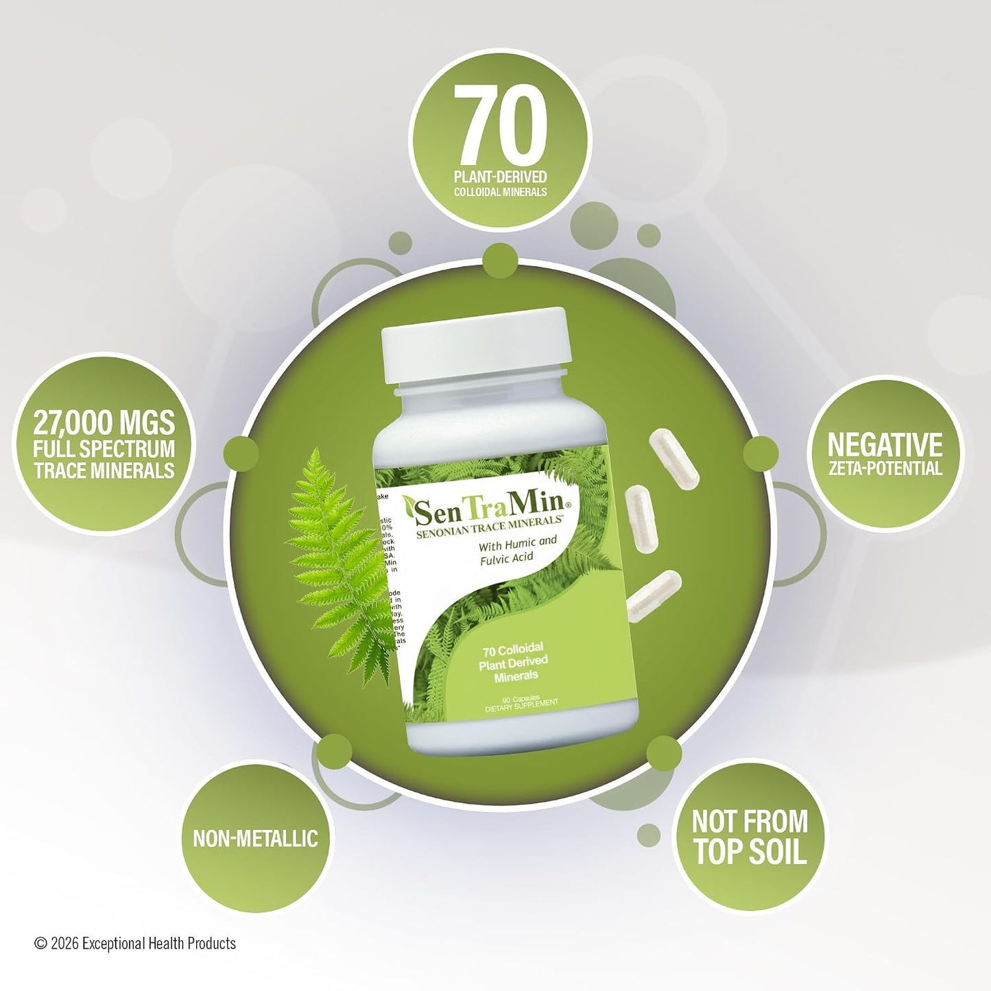 Plant Based Mineral Complex, 90 Vegetable Capsules | Daily Wellness, Energy & Immune Support with70 Plant Sourced Colloidal Trace Minerals with Antioxidants, Enzymes & More