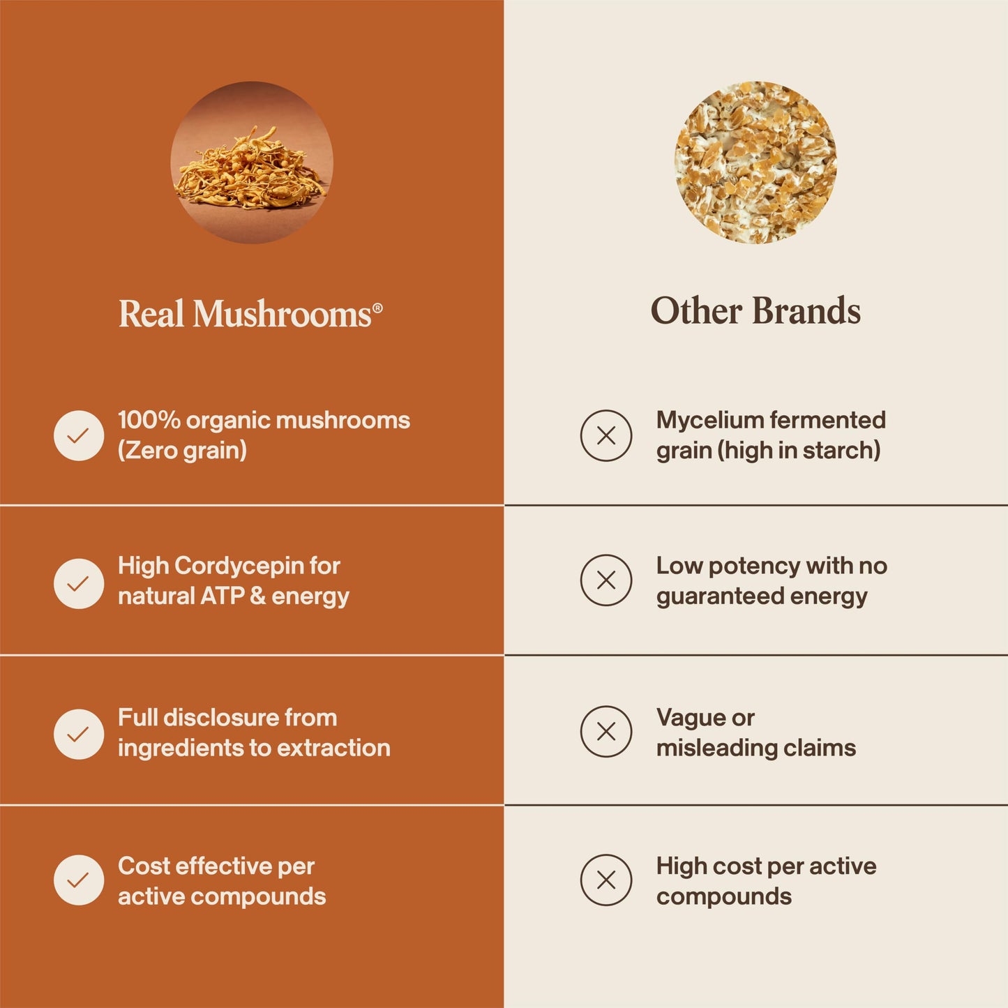 Real Mushrooms Cordyceps Mushroom Powder - Organic Cordyceps Powder Mushroom Energy and Wellness Support - Rich in Beta Glucans - Non-GMO, Vegan Supplement, 60 Servings