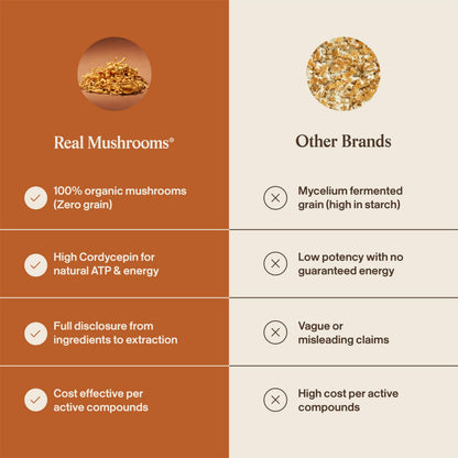 Real Mushrooms Cordyceps Mushroom Powder - Organic Cordyceps Powder Mushroom Energy and Wellness Support - Rich in Beta Glucans - Non-GMO, Vegan Supplement, 60 Servings