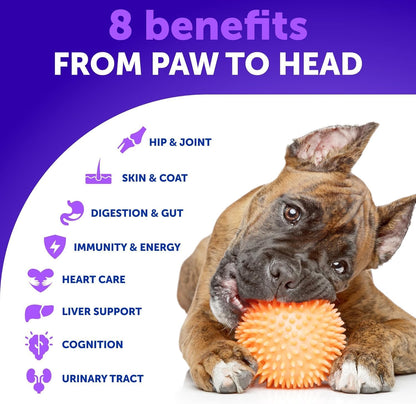 Dog Multivitamin Chewable with Glucosamine 26 in 1 - Dog Vitamins and Supplements - Senior & Puppy Multivitamin for Dogs - Pet Joint Support Health - Immunity, Mobility, Gut Skin - 120 Chews