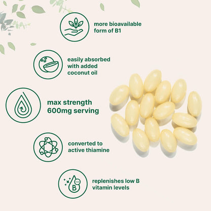 Vitamin B1 Benfotiamine 600mg Per Serving, 240 Coconut Oil Softgels | Bioavailable B Vitamins Supplement, Converted to Active Thiamine | Non-GMO, Soy Free