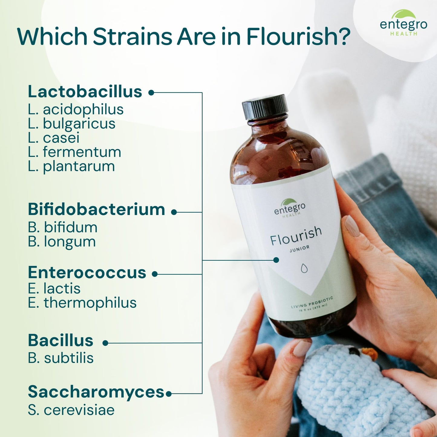 ENTEGRO Flourish Junior Liquid Probiotic & Postbiotic Supplement, Plastic | 11 Live Cultures, Gut & Digestive Health For Women, Men & Kids, Organic, Vegan, Allergen Free, Non-GMO, USA Made, 16 fl oz
