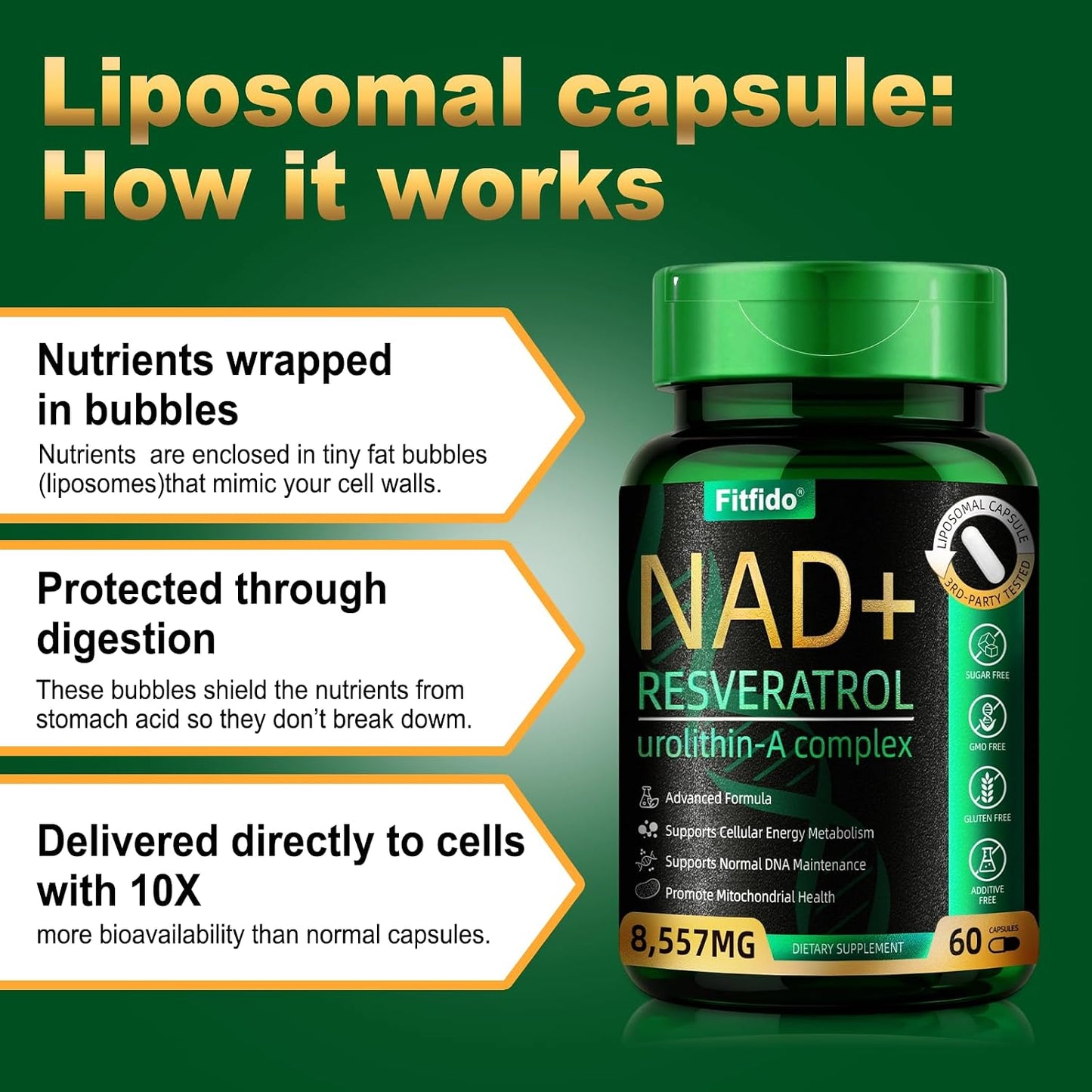 Liposomal NAD+ Resveratrol 400mg with Urolithin A, 60 Capsules | Enhanced Absorption with Urolithin-A & CoQ10, Supports Cellular Energy & DNA Maintenance, Non-GMO, Gluten Free