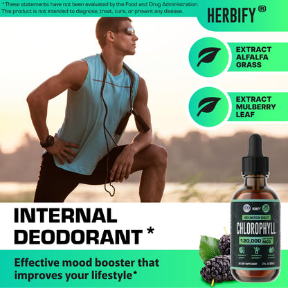HERBIFY Chlorophyll Drops - Liquid Chlorophyll for Energy Boost & Immune System Support - Made in USA - Chlorophyll Liquid Drops for Body Detox, Internal Deodorant & Enhance Skin - 2 Oz