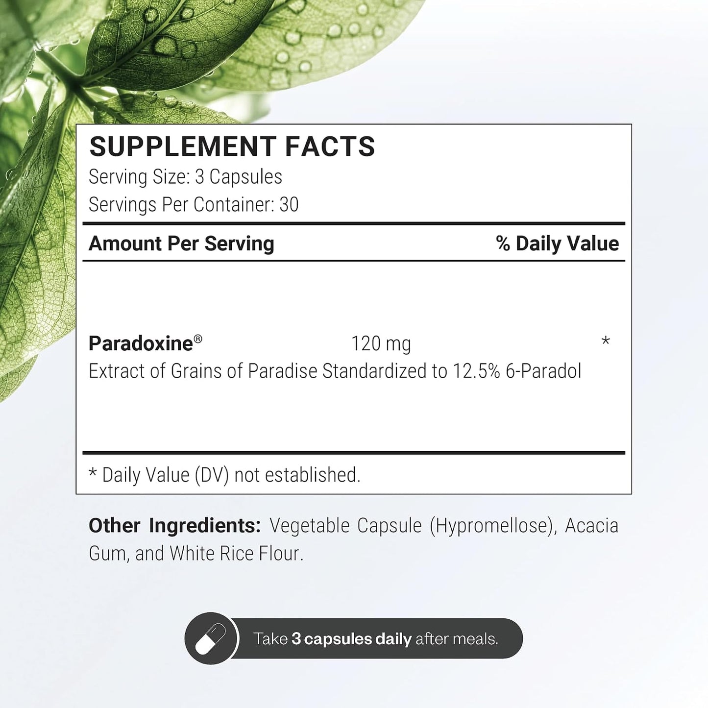 Supersmart - Paradoxine 120mg per Day - Grains of Paradise Supplement (Aframomum melegueta) with 6-Paradol | Non-GMO & Gluten Free - 90 Vegetarian Capsules