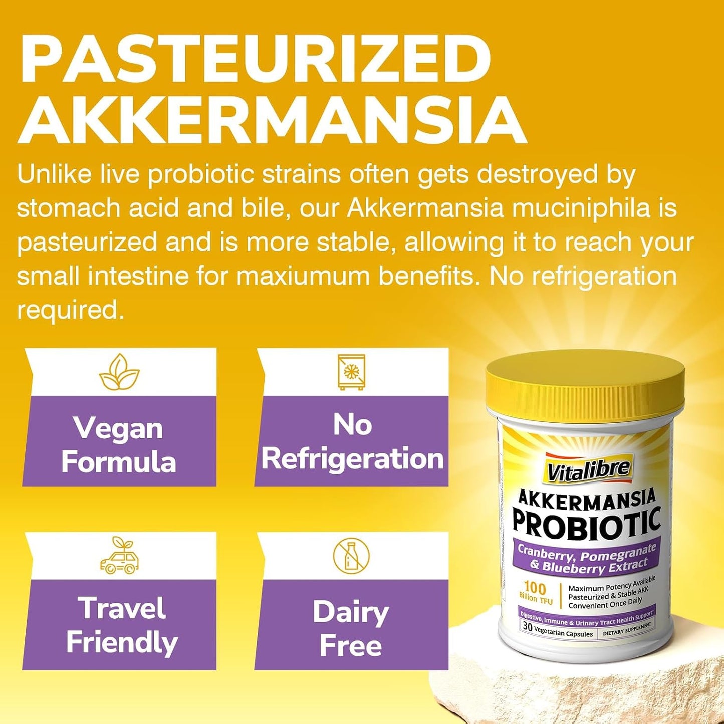 Vitalibre Akkermansia Probiotics 100 Billion TFU, Pasteurized Akkermansia Muciniphila, w/Cranberry, Blueberry & Pomegranate, Digestive & Immune Health, Leaky Gut, GLP-1 Supplement, 30 Vegan Capsules