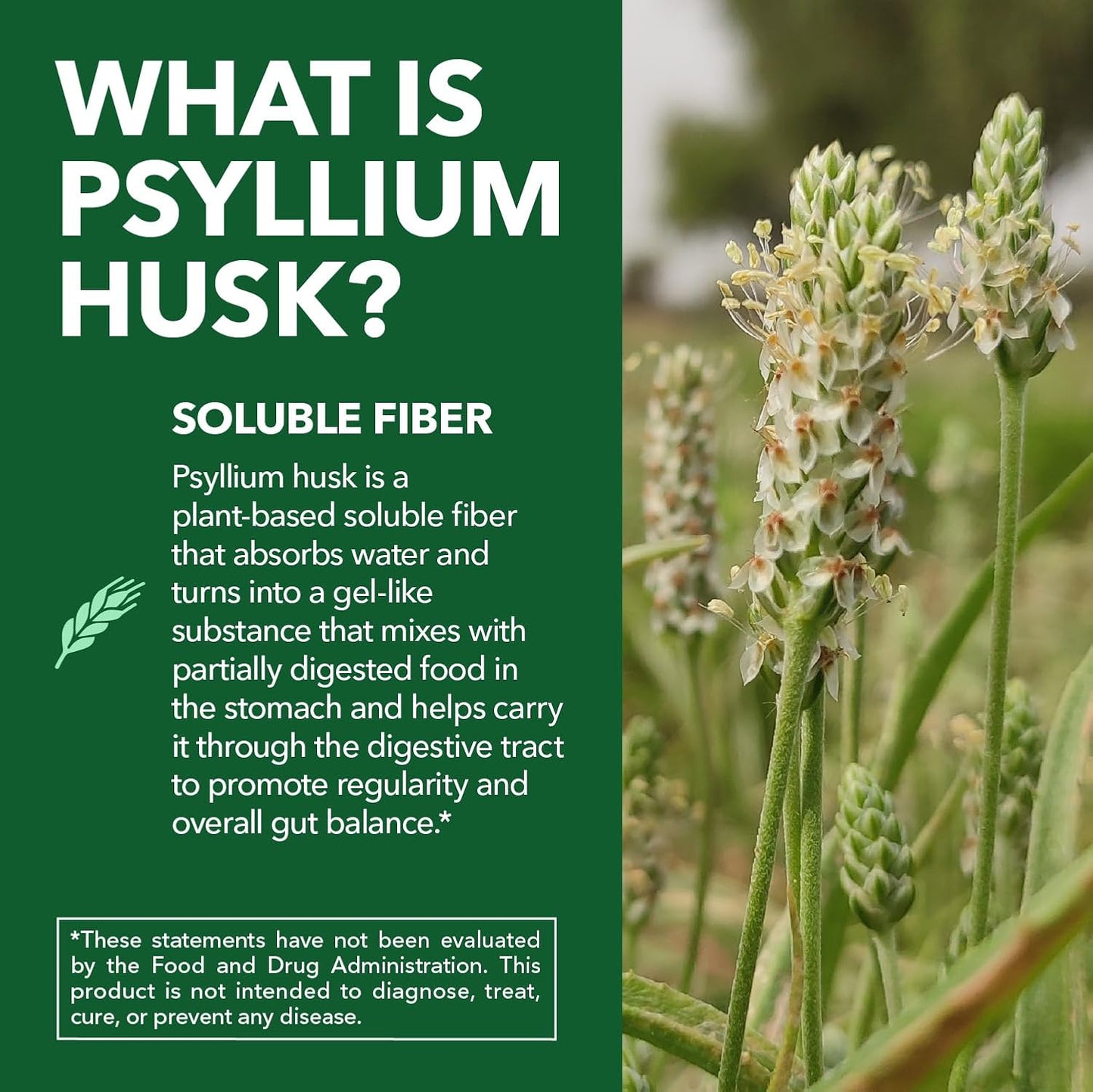 Vegan Psyllium Husk Fiber Capsules, GLP-1 Nutritional Support, 270 Pills | Psyllium Fiber Supplement Capsules for Digestive Health Regularity, Non-GMO Gluten Free & 3rd Party Tested, 90 Servings