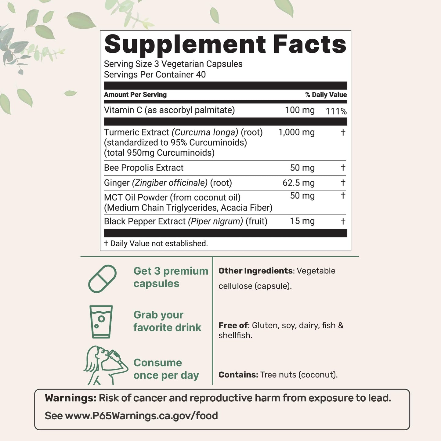Micro Ingredients Pure Turmeric Curcumin Supplement 1,000mg – 95% Curcuminoids with Black Pepper & Ginger – High Absorption for Joint & Antioxidant Support* – Filler Free, 120 Veggie Capsules