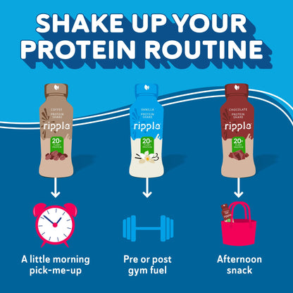 Ripple Vegan Protein Shake Variety Pack| 20g Nutritious Plant Based Pea Protein