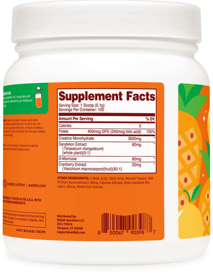 Wellah Creatine for Women - Creatine Monohydrate with Dandelion & Cranberry Extract (50 Servings, Strawberry Lemonade) | Creatine Monohydrate with Dandelion & Cranberry Extract
