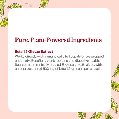 PURE SYNERGY SuperPure Beta 1,3-Glucan Extract | 500 mg Beta 1,3-Glucan Supplement from Algae | Yeast-Free, Non-GMO, Standardized Extract | Supports Immune Health & Digestion (60 Capsules)