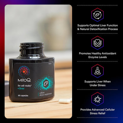 MitoQ +Liver – Advanced Liver Supplement with Highly Bioavailable Milk Thistle, Choline, Selenium Mitoquinol – Supports Metabolism, Body’s Natural Detoxification & Liver Health – 60 Capsules