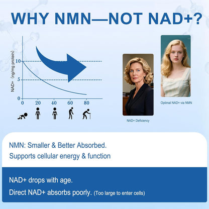 NMN 500mg Supplement - Beta Nicotinamide Mononucleotide Supplements to Boost NAD+ Levels & Cellular Energy, Supports Healthy Aging - 60 Vegan Capsule