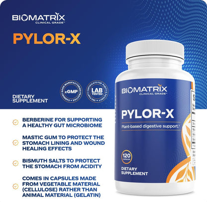 BioMatrix H Pylori Supplement, Mastic Gum, Berberine, Zinc Carnosine & Bismuth Salts, Probiotic Alternative, Gut Formula, 120 Capsules, 30-60 Day Supply