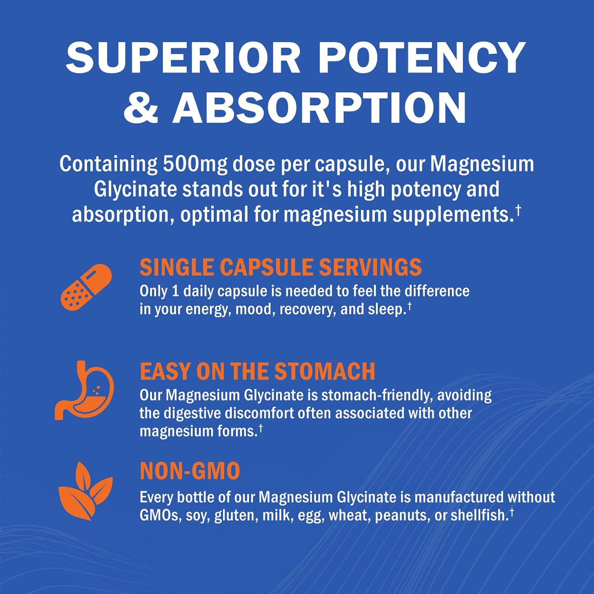 Magnesium Glycinate 500mg Per Serving, 240 Capsules