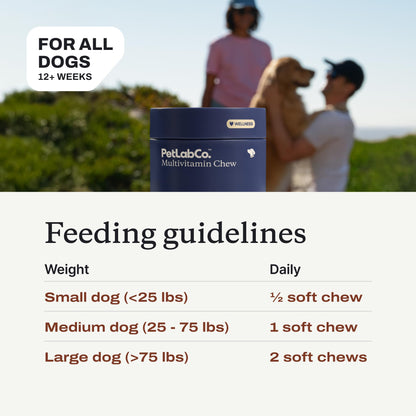 PetLab Co. 22-in-1 Multivitamin Chews for Dogs, Pork Flavor | 22 vitamins and minerals in one daily soft chew to support immune health, energy, skin, coat and overall wellbeing