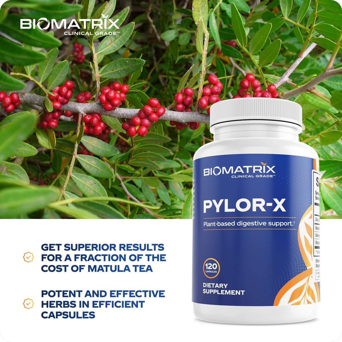 BioMatrix H Pylori Supplement, Mastic Gum, Berberine, Zinc Carnosine & Bismuth Salts, Probiotic Alternative, Gut Formula, 120 Capsules, 30-60 Day Supply