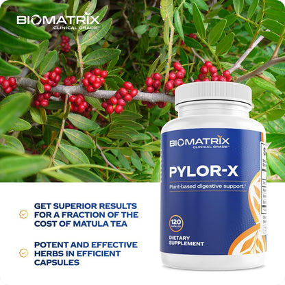 BioMatrix H Pylori Supplement, Mastic Gum, Berberine, Zinc Carnosine & Bismuth Salts, Probiotic Alternative, Gut Formula, 120 Capsules, 30-60 Day Supply
