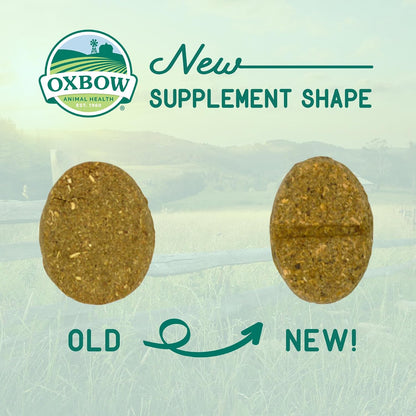 Oxbow Natural Science Joint Supplement for Rabbits & Guinea Pigs, 4.2 oz | Healthy Cat Treats, Natural Feline Snacks, Protein Rich, Crunchy Biscuits, Indoor Cats, Kitten Rewards, Made in USA