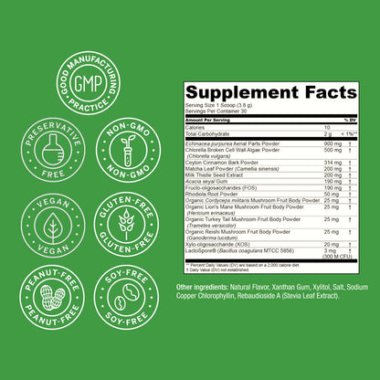 Live Conscious Beyond Greens Superfood Powder - Delicious Debloating Super Greens Powder - Matcha Greens Blend w/Chlorella, Echinacea, Probiotics for Immune Support & Energy