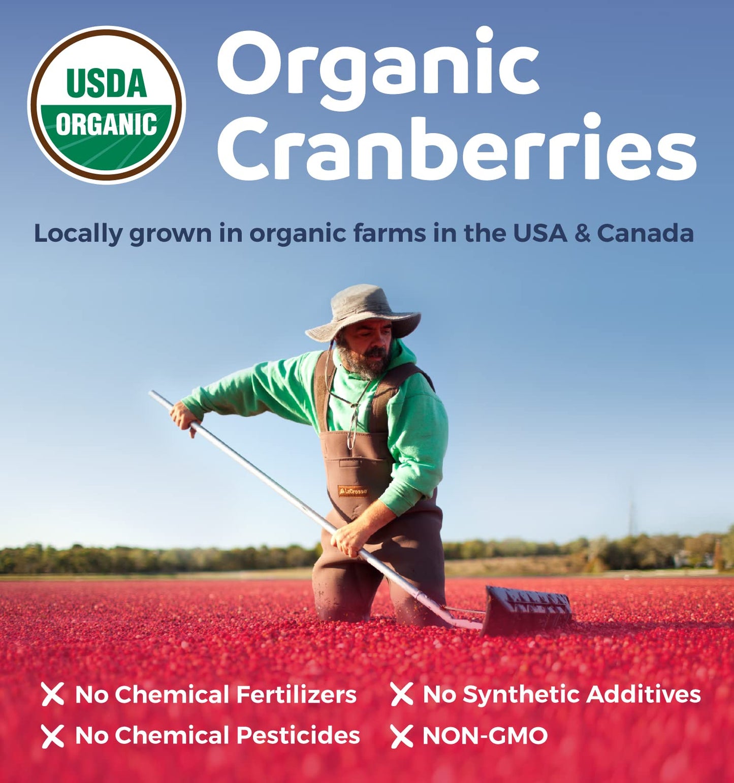 Organic Cranberry Pills - Vegan Supplement for Urinary Tract Health & Kidney Cleanse - Cranberry Pills for Women 500mg 50:1 Cranberry Concentrate Per Serving - Urinary Tract Support - 60 Capsules