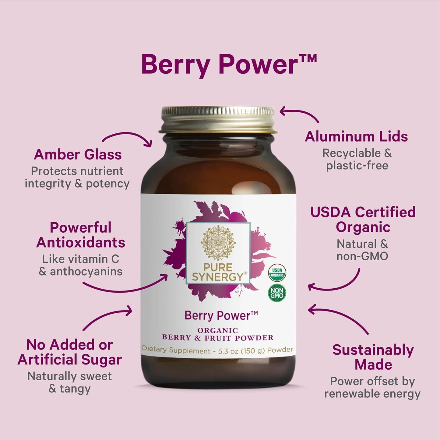 PURE SYNERGY Berry Power | Organic Berry and Fruit Powder | Antioxidant Supplement with Organic Acai, Acerola, and Wild Blueberry | for Healthy Aging, Immune, and Skin Support (5.3 oz Powder)