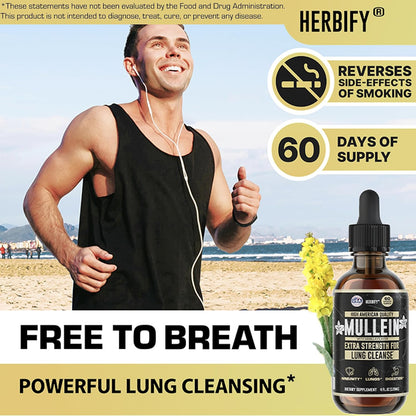 HERBIFY Bundle - Lions Mane & Mullein Vanilla 4 Fl Oz Drops - Supplement for Memory, Focus & Clarity & Immune Support, Lung Cleanse and Bronchial Support