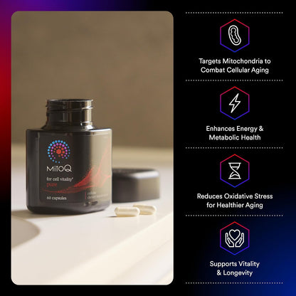 MitoQ Ultimate Antioxidant Bundle: Mitochondria-Targeted and Heart Health Antioxidant Supplements | Supports Cellular Longevity, Cardiovascular Health, Energy, and Healthy Aging (2 x 60 Capsules)