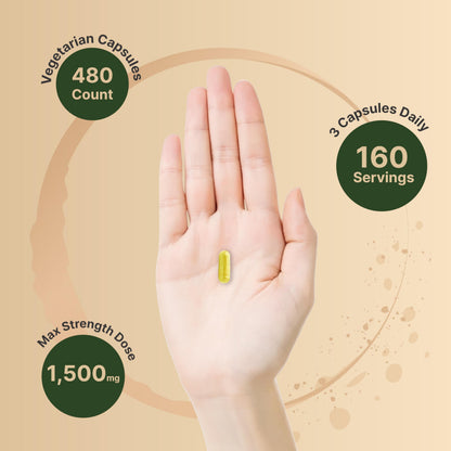 NatureBell Berberine Supplement 1,500mg with Ceylon Cinnamon & Turmeric Root, 240 Veggie Capsules | 97% Pure Berberine HCL | Supports Balanced Sugar Levels & Heart Health | Vegan, Non-GMO