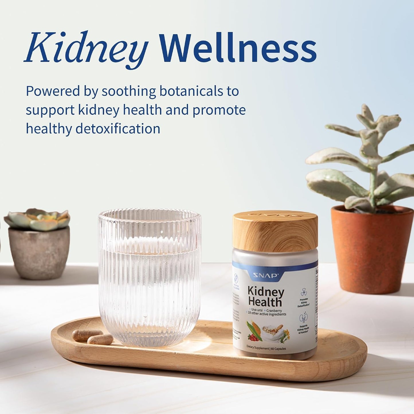 Snap Supplements Kidney Health Support Supplement for Women & Men, 60 Count | Organic Cranberry Extract, Grape Seed Extract, Urinary Tract Support, Non-GMO Vegan Formula