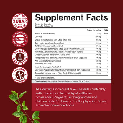 Green Coffee Bean Extract for Uric Acid Cleanse & Detox - Green Coffee Beans with Turmeric, Tart Cherry & Celery Seed for Adults - Uric Acid Flush for Antioxidant Support - Kidney Cleanser - 120 Ct