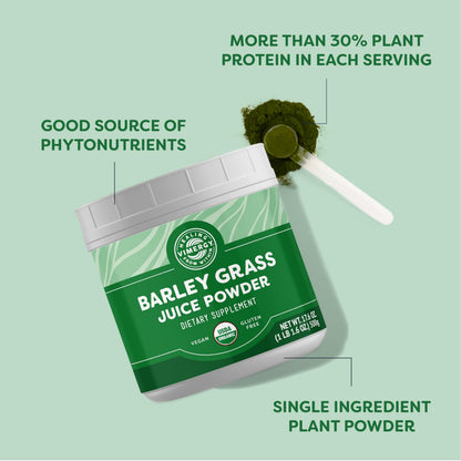 Vimergy Barley Grass Juice Powder Dietary Supplement - 4g per Serving (62 Servings) – Clean Superfood – Promotes Cardiovascular Health* – Organic, Vegan & Gluten-Free – Regular Size 250g