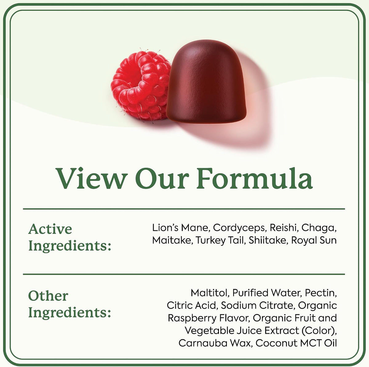 Plant People WonderDay Mushroom Gummies for Energy, Raspberry, 60ct