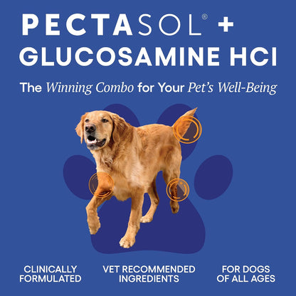 ecoNugenics PectaPaws Chewable Dog Supplements – Beef Flavor, 90 Count – PectaSol Modified Citrus Pectin + Glucosamine HCI for Dogs of All Ages, Supports Mobility, Joints, Immune Function, Pain Relief