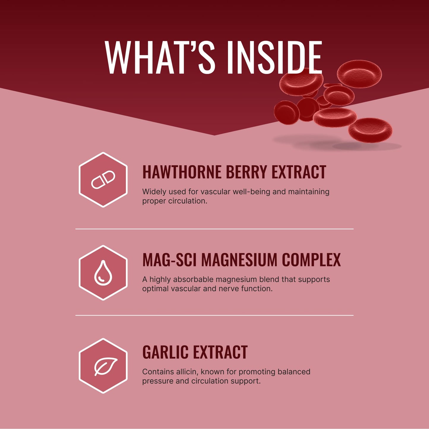 Approved Science Bloodsyl - Blood Pressure Support Supplement - Supports BP Levels Already Within Normal Range - Hawthorn Berry, Garlic, Magnesium and Hibiscus Pills - Vegan - 180 Capsules, 3 Months