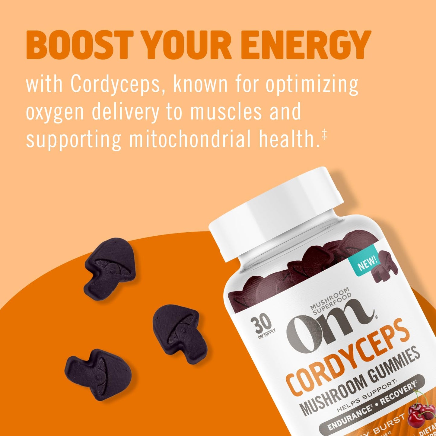 OM MUSHROOM SUPERFOOD Master Blend Mushroom Gummies – Organic 10-Mushroom Complex with Ashwagandha – Supports Immunity, Gut Health & Stress Relief – Mixed Berry Flavor – 28 Servings, 56 Count.