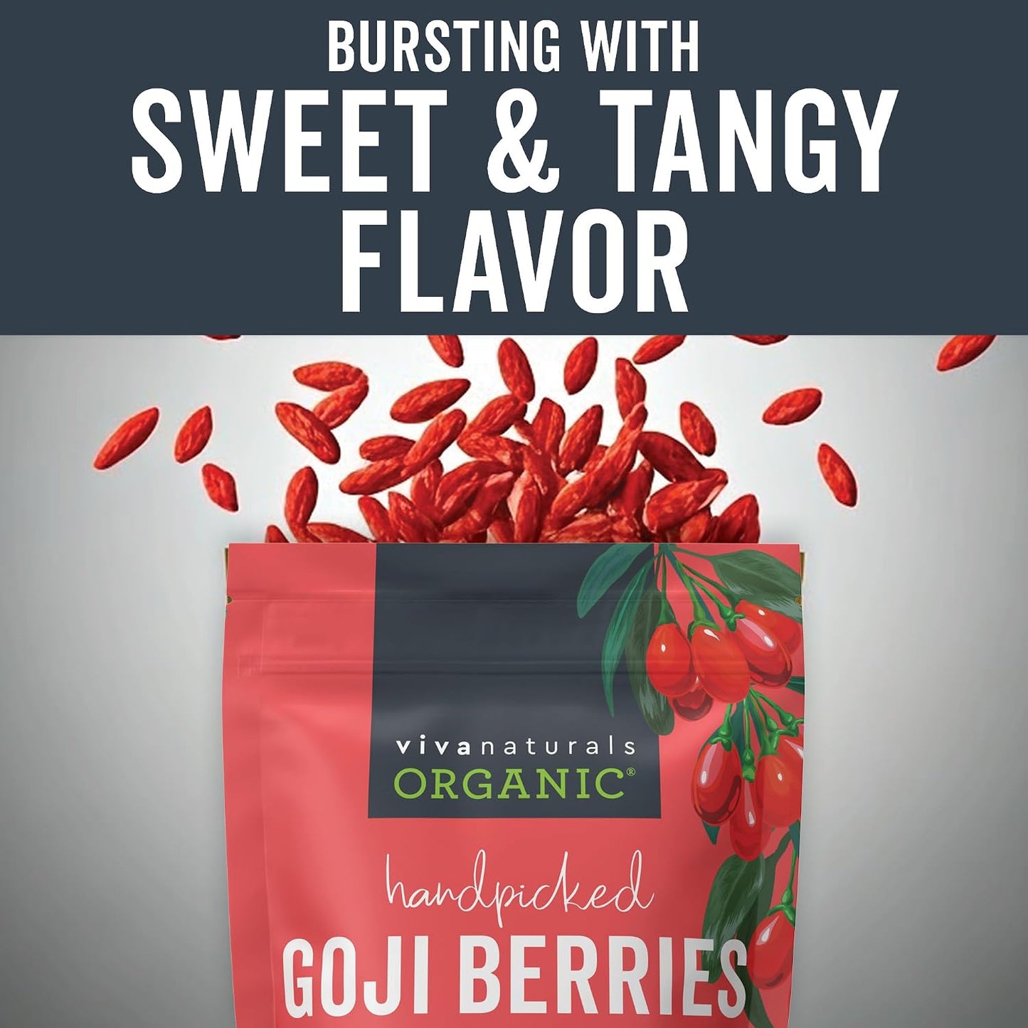 Viva Naturals Organic Dried Goji Berries, 1 lb (454 g) – Non-GMO, Vegan Wolfberries, Perfect for Goji Berry Tea, Smoothies, Baking & Snacking