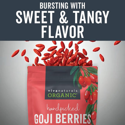 Viva Naturals Organic Dried Goji Berries, 1 lb (454 g) – Non-GMO, Vegan Wolfberries, Perfect for Goji Berry Tea, Smoothies, Baking & Snacking