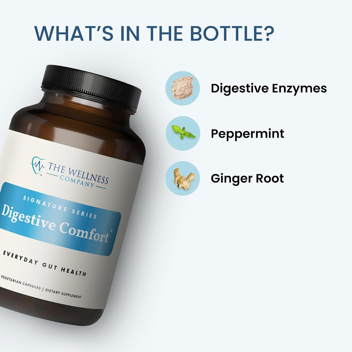 The Wellness Company Digestive Comfort - Gas Relief, 120ct