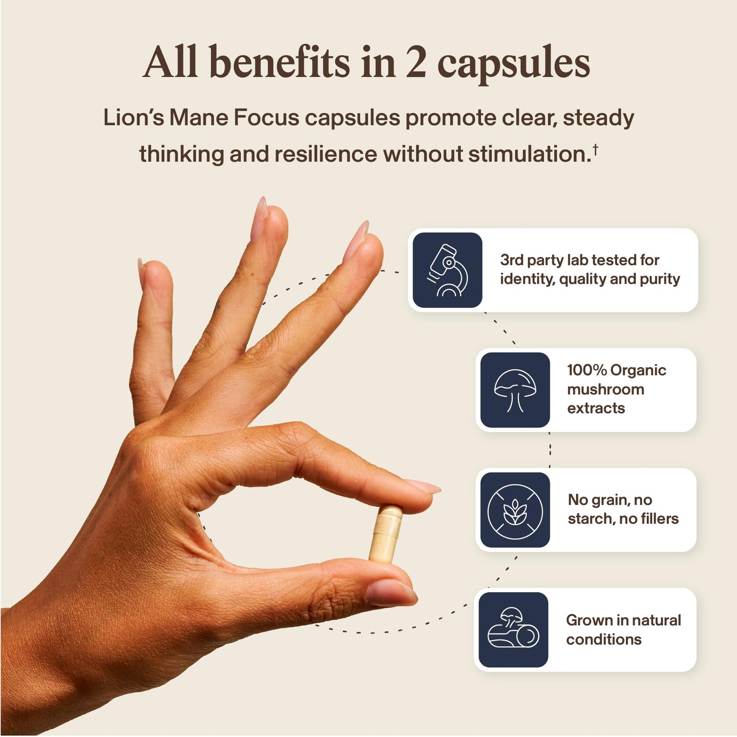 Real Mushrooms Lions Mane Mushroom Cognition (120 Capsules) Lions Mane Mushroom Powder Extract Capsules | Brain Supplement, Brain Vitamins, Focus Supplement