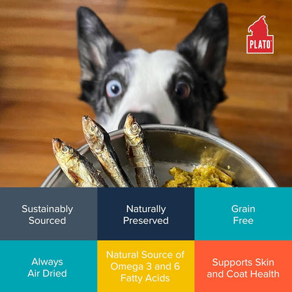 Plato Pet Treats Fish Dog Treats - Air-Dried, Single Ingredient Pet Treat - Omega 3 & 6 Fatty Acids to Support Skin and Coat - 100% Whole Fish - Wild Caught Baltic Sprat - 3 oz - 2 Pack
