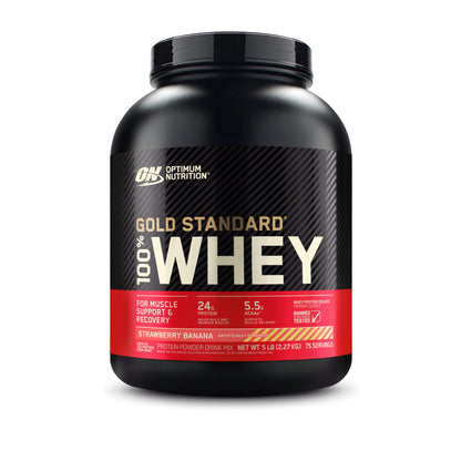 Optimum Nutrition Gold Standard 100% Whey Protein Powder & Gold Standard Pre-Workout
