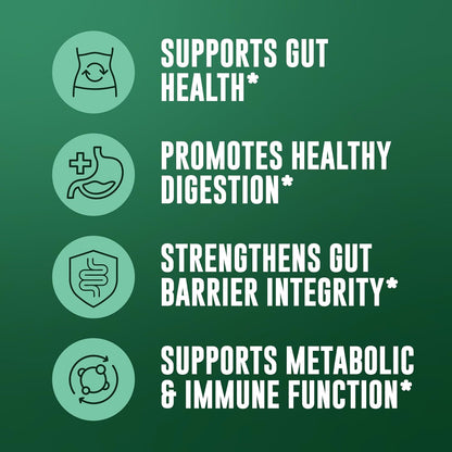 Akkermansia Muciniphila Supplement With Prebiotics, 30 Capsules | 1 Billion CFU With XOS Prebiotic - Supports Gut Health, Mirobiome Balance & Digestive Health - Gluten Free