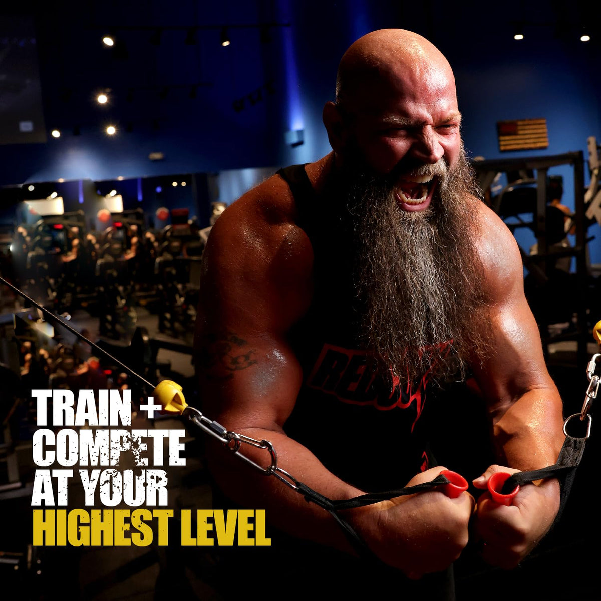REDCON1 Total War Pre Workout - L Citrulline, Malic Acid, Green Tea Leaf Extract for Pump