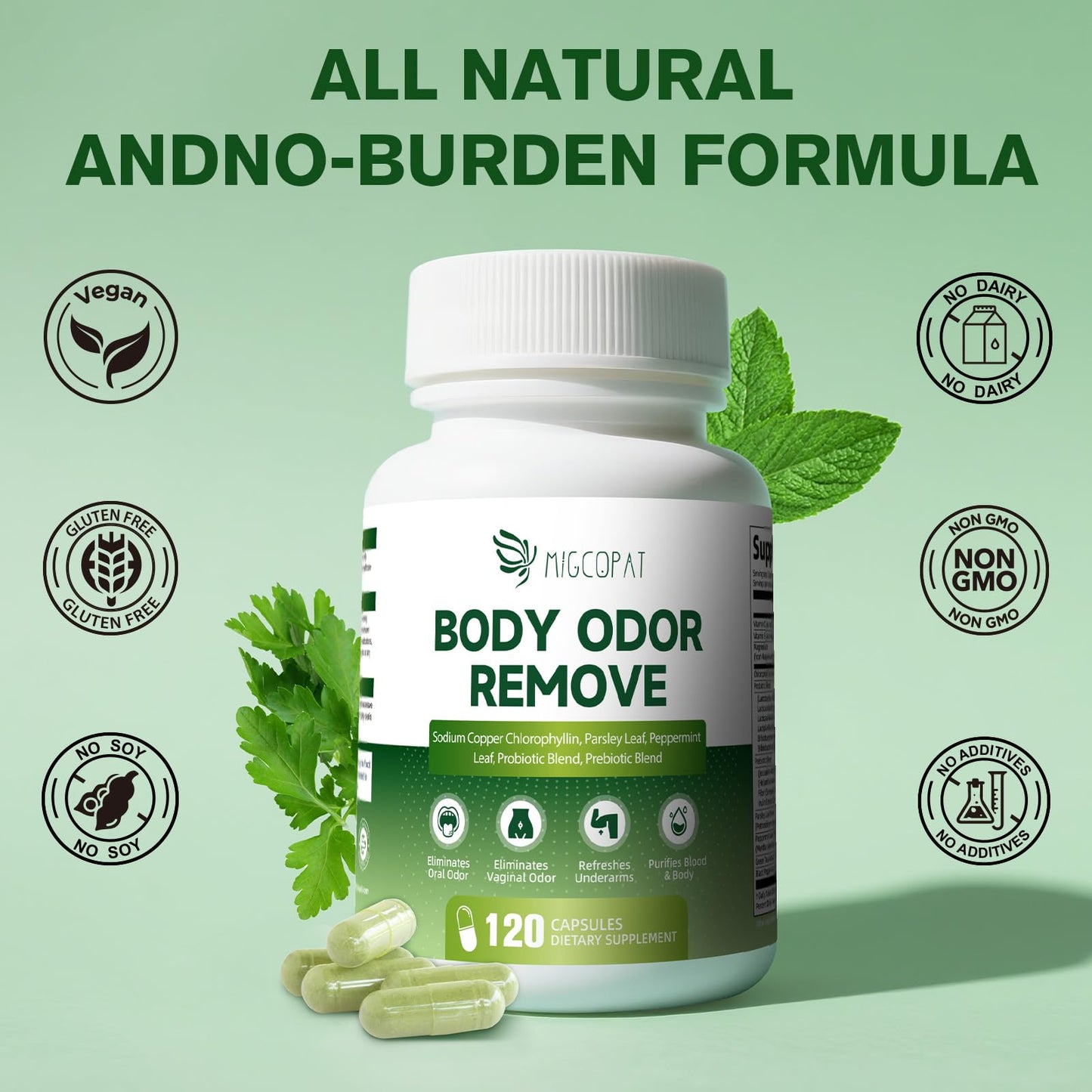 Chlorophyll Body Deodorizing Supplement, Chlorophyll Capsules with Parsley & Peppermint, Probiotic, Green Tea, Jerusalem Artichoke, Prebiotic, Supports Fresh Breath & Whole-Body Freshness, 120 Caps