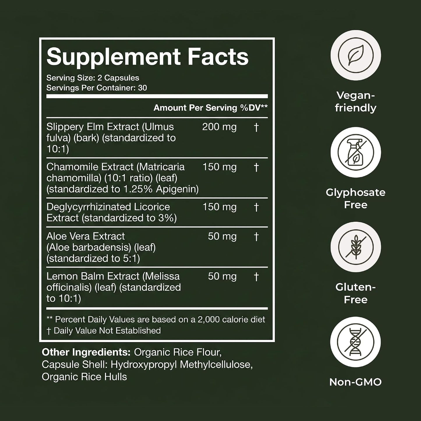 Terra Health Essentials Acid Relief - Daily Digestive Support Supplement for Gut Health & Balanced Digestion - Lemon Balm, Slippery Elm, Aloe Vera, DGL Licorice - Plant-Based & Non-GMO - 60 Capsules